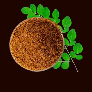 Munugaku Karam Podi
